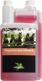 Parisol Magnesium plus Vitamin B - für Nervenstärke und Leistung